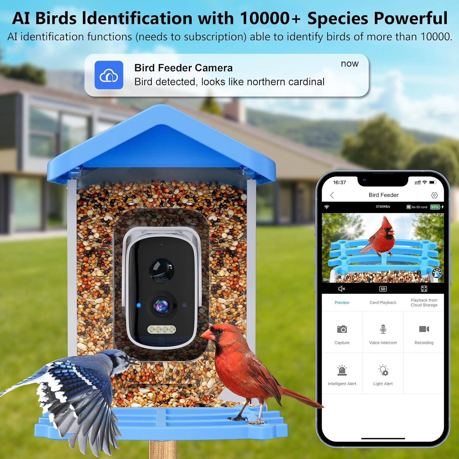 Smart Garden Ai - 스마트 조류 관찰대(카메라 내장) AI 조류
