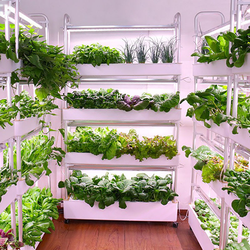 Smart Garden Vertical Planter - 수직 수경 재배 시스템, 스마트 실내