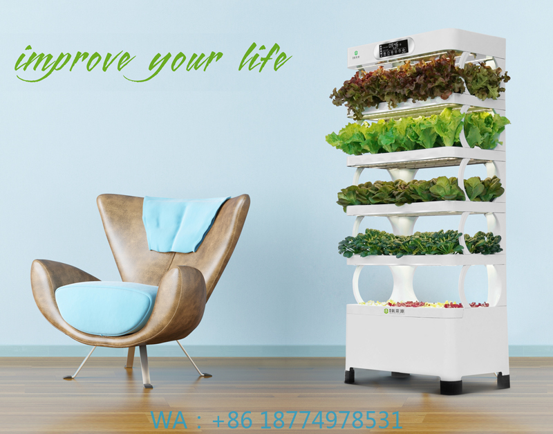 수직 온실 완전 수경 재배 시스템 실내 인기 정원 플랜 - Smart Garden Vertical Planter 리뷰 및 가격