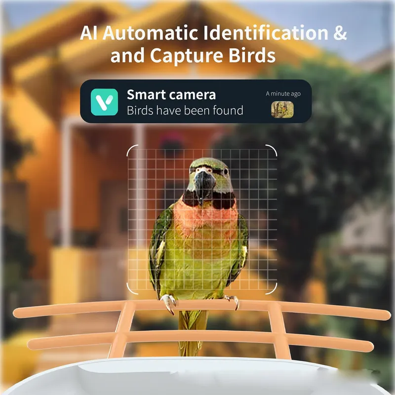 스마트 AI 조류 급식기(조류 식별 기능 포함), 정원 - Smart Garden Ai 리뷰 및 가격