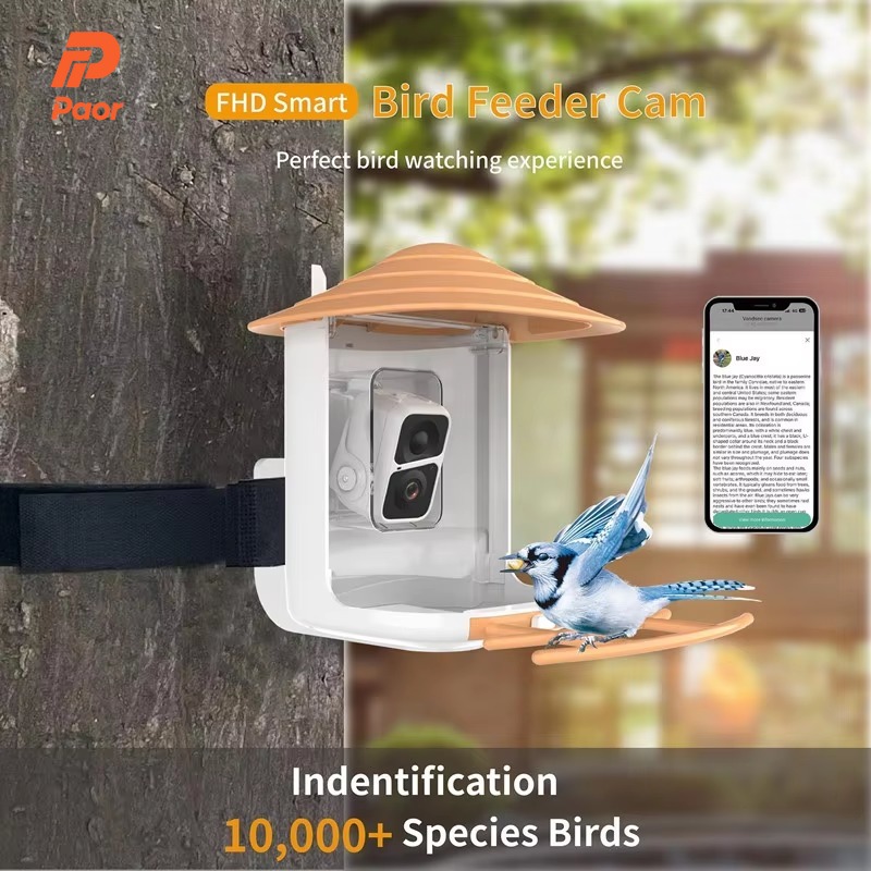 2L IP66 AI 스마트 조류 급식기 (카메라, 무선 - Smart Garden Ai 리뷰 및 가격