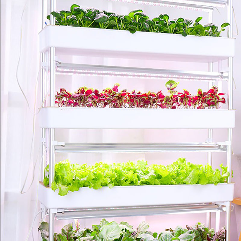수직 수경 재배 시스템, 스마트 실내 수경 재배, 정원 - Smart Garden Vertical Planter 리뷰 및 가격