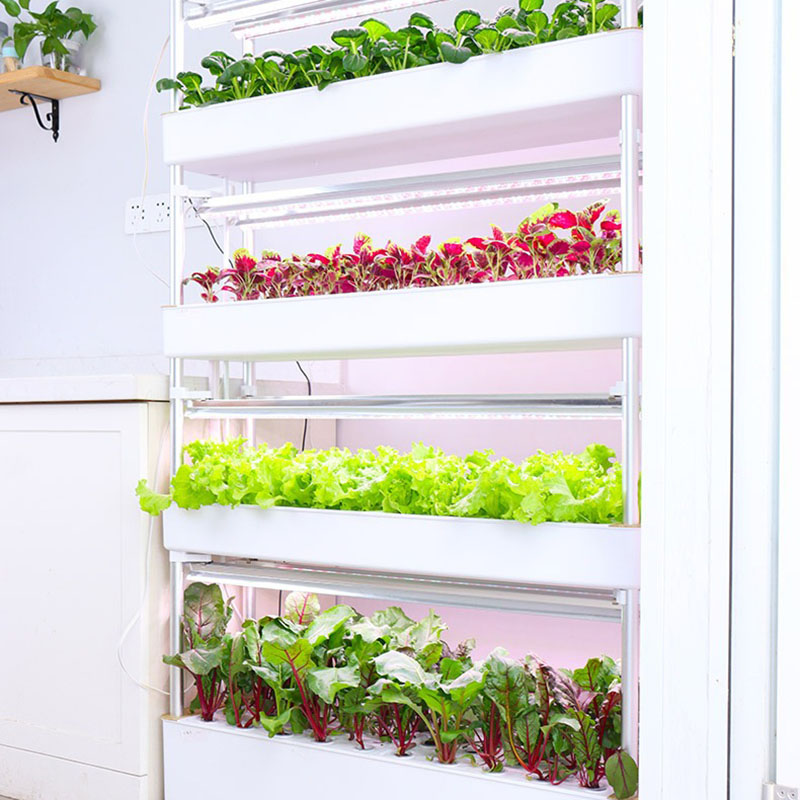 수직 수경 재배 시스템, 스마트 실내 수경 재배, 정원 - Smart Garden Vertical Planter 리뷰 및 가격