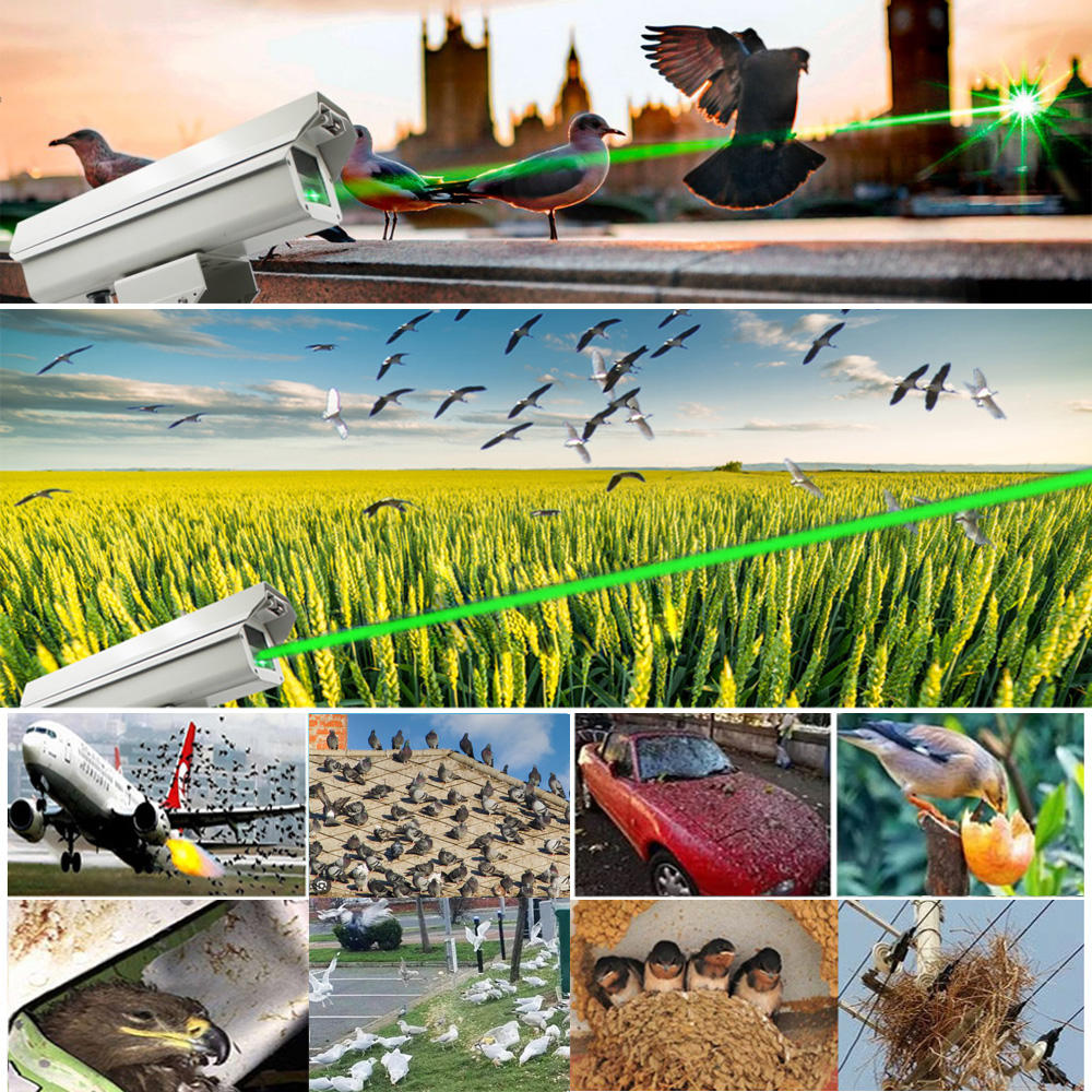 스마트 조류 퇴치기 강력한 그린 AI 트리거 레이저 공 - Smart Garden Ai 리뷰 및 가격