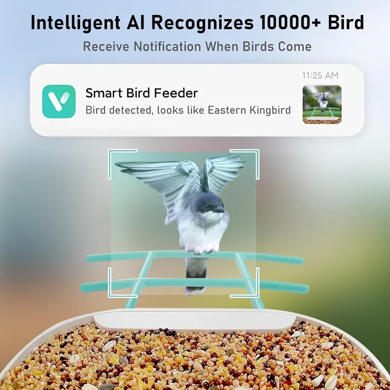 AI 인식 기능을 갖춘 스마트 새 먹이 공급기 카메라, - Smart Garden Ai 리뷰 및 가격