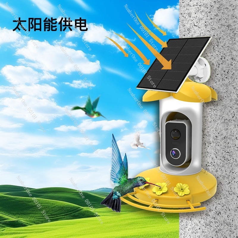 태양광 카메라가 장착된 스마트 새 모이통, AI 다람쥐 - Smart Garden Ai 리뷰 및 가격