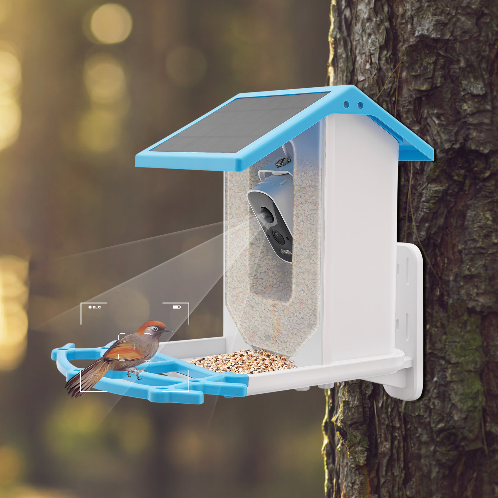 태양광 스마트 새 모이통, 2.5K 4MP HD 카메라 - Smart Garden Ai 리뷰 및 가격