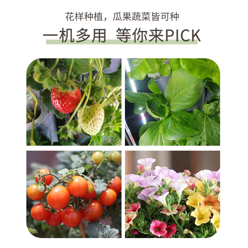 발코니 채소 재배 꽃 녹색 식물 화분 식물 가정용 수직 - Smart Garden Vertical Planter 리뷰 및 가격