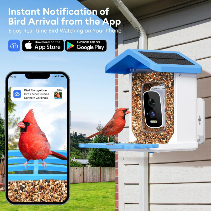 카메라가 장착된 WiFi 스마트 새 먹이통, AI 조류 - Smart Garden Ai 리뷰 및 가격
