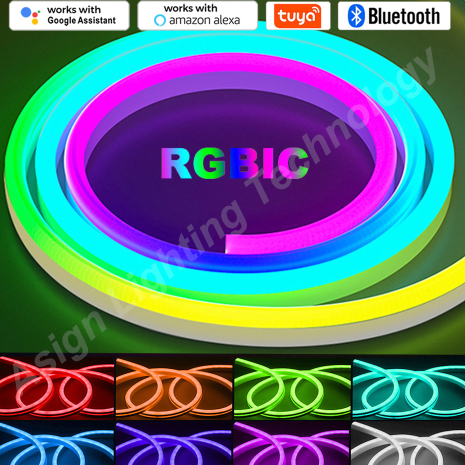 RGBIC LED 네온 스트립 12V 96LED/M 원 - App Smart Garden 리뷰 및 가격